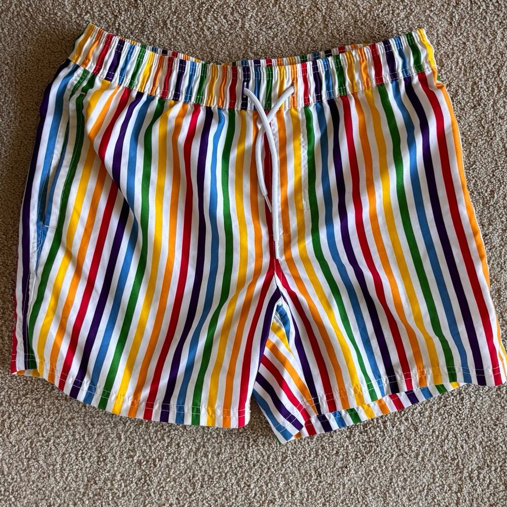 Trinity Collective Rainbow Pride striped Swimsuit Shorts Trunks Medium